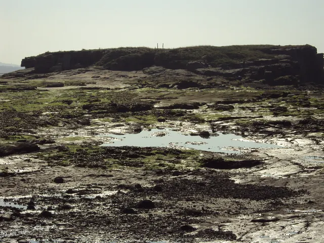 Red sandstone cliffs and tidal channels at Middle Eye